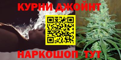 сатива Беслан