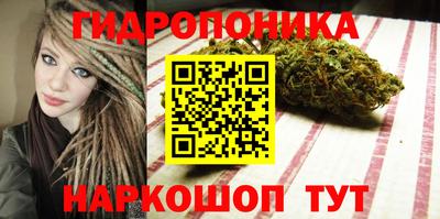 PSILOCYBIN Берёзовский