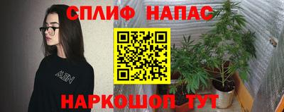 сатива Беслан