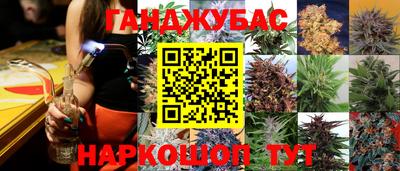 сатива Беслан